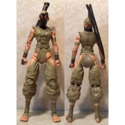 STREET FIGHTER IBUKI 