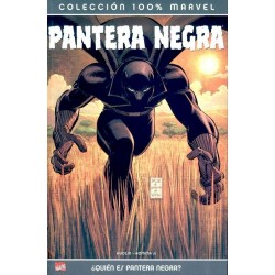 100% MARVEL, PANTERA NEGRA: ¿QUIÉN ES PANTERA NEGRA? 