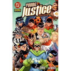 YOUNG JUSTICE: VIEJA JUSTICIA