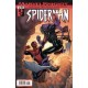 MARVEL KNIGHTS: SPIDERMAN Nº 12