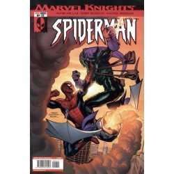 MARVEL KNIGHTS: SPIDERMAN Nº 12