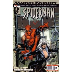 MARVEL KNIGHTS: SPIDERMAN Nº 4