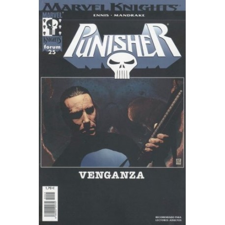 MARVEL KNIGHTS: PUNISHER VOL.2 Nº 25