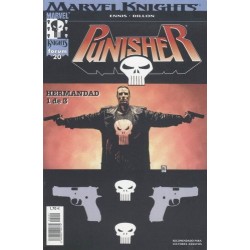 MARVEL KNIGHTS: PUNISHER VOL.2 Nº 20