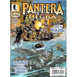 MARVEL KNIGHTS: PANTERA NEGRA Nº 14