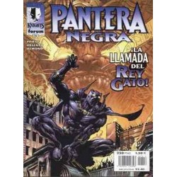 MARVEL KNIGHTS: PANTERA NEGRA Nº 13 