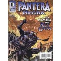 MARVEL KNIGHTS: PANTERA NEGRA Nº 13 