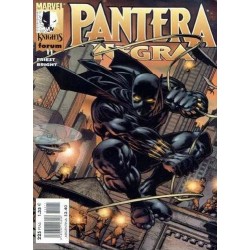 MARVEL KNIGHTS: PANTERA NEGRA Nº 11 