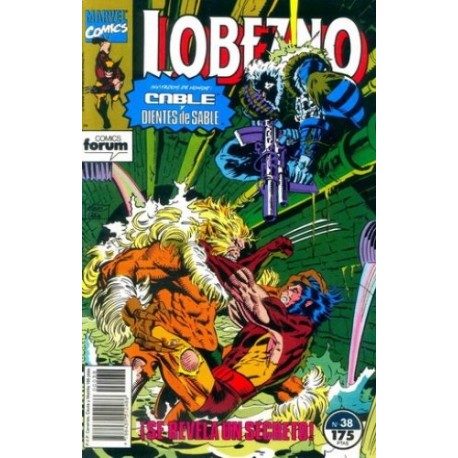 LOBEZNO Nº 38