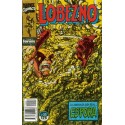 LOBEZNO Nº 22