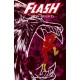 FLASH Nº 2 IRON HEIGHTS