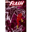 FLASH Nº 2 IRON HEIGHTS