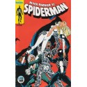 SPIDERMAN Nº 123