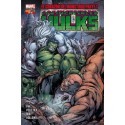 LOS INCREÍBLES HULKS Nº 10