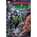 LOS INCREÍBLES HULKS Nº 10