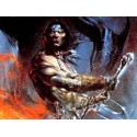 LA ESPADA SALVAJE DE CONAN 