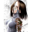 ALITA, ANGEL DE COMBATE 3ª PARTE