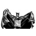 BATMAN: BLACK AND WHITE