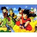 DRAGON BALL